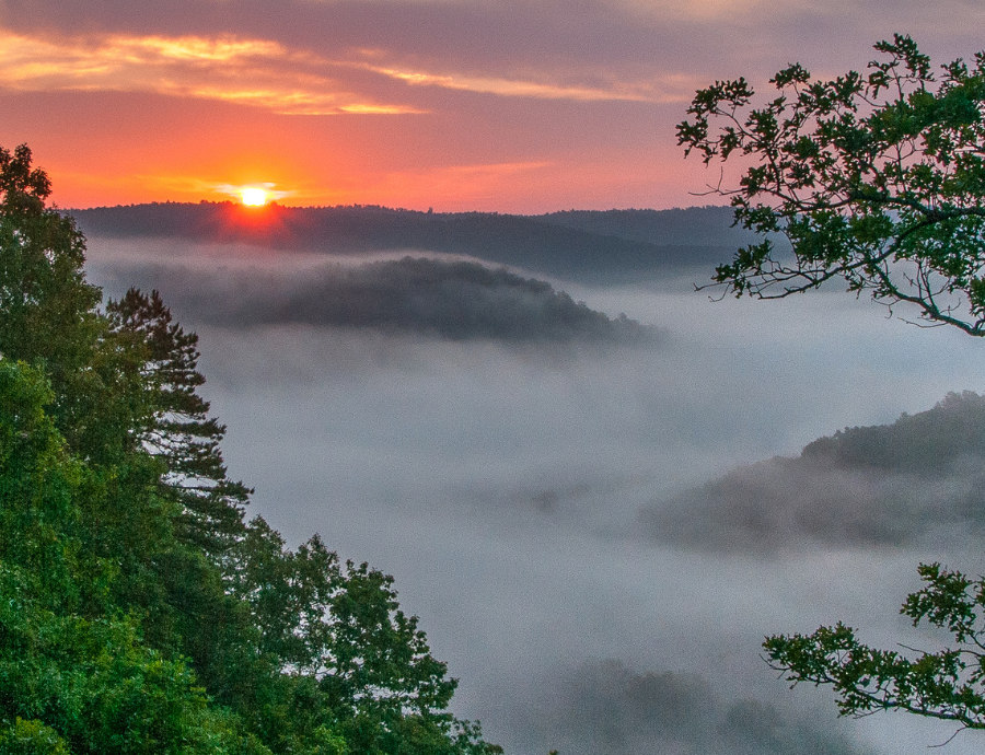 Arkansas nature