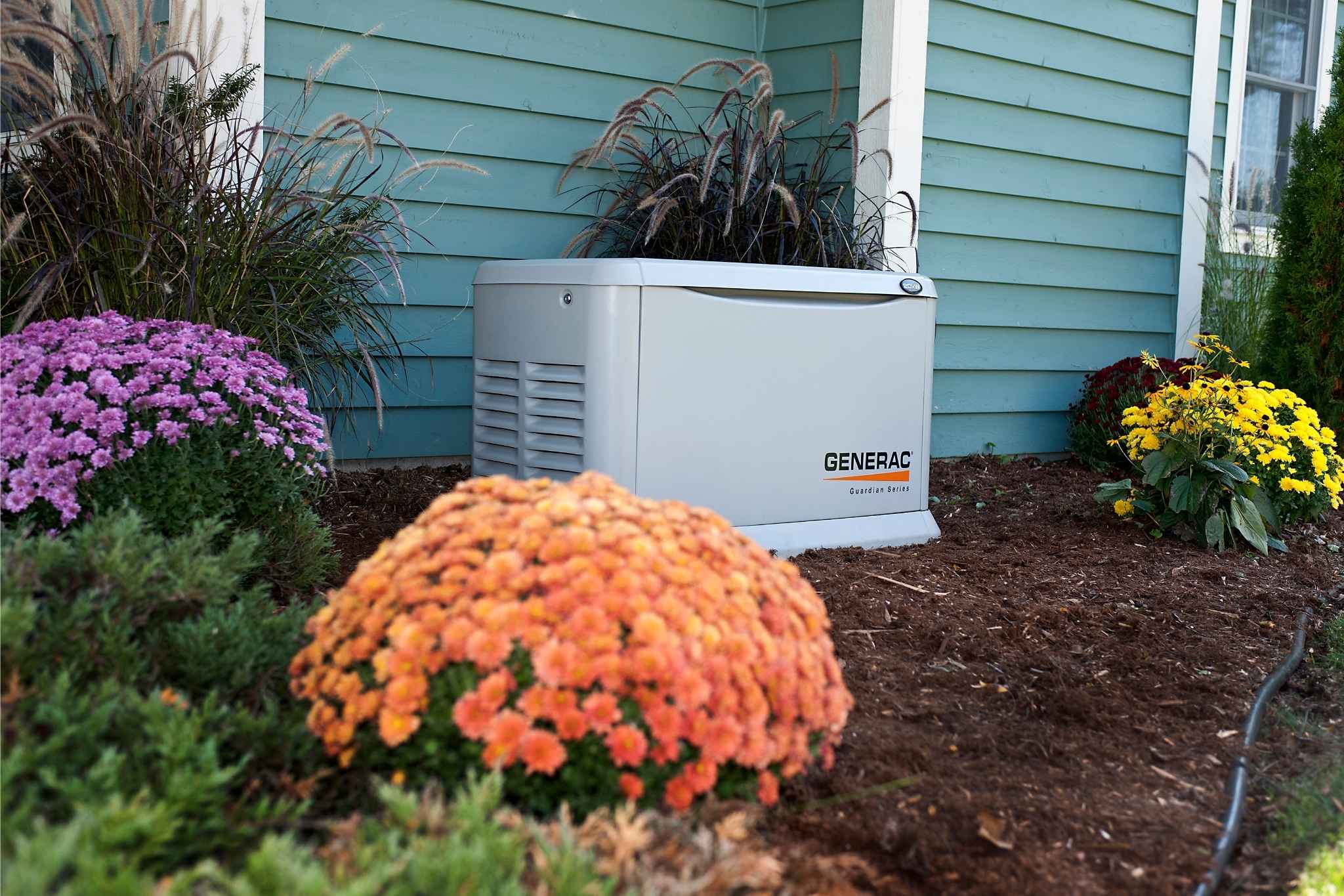 Natural Gas Backup Generator