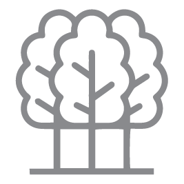 Tree Icon