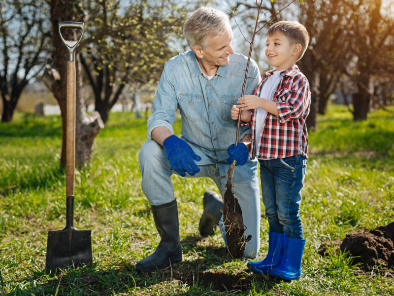 Family Digging and Planting Tree